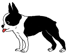 歩く猫のイメージ